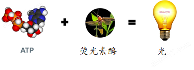 航油微生物检测设备