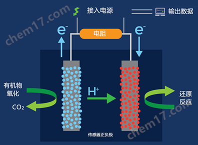 在线污水毒性预警系统